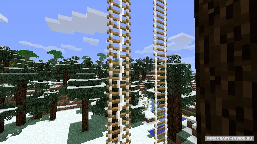 Extendable Ladders — Minecraft mod, rasm 3