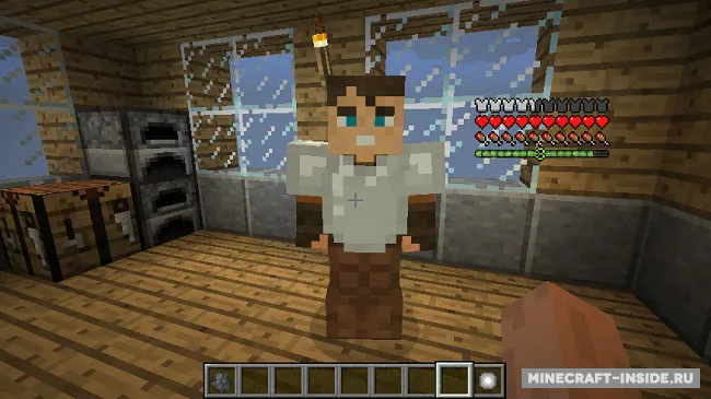 Companions — Minecraft mod, rasm 2