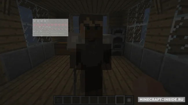 Companions — Minecraft mod, rasm 5