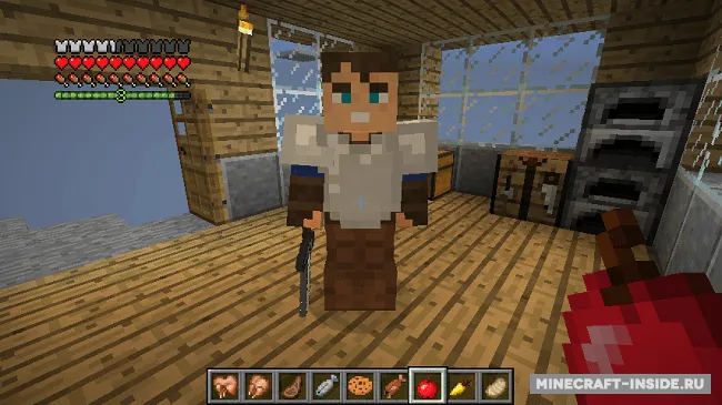 Companions — Minecraft mod, rasm 6