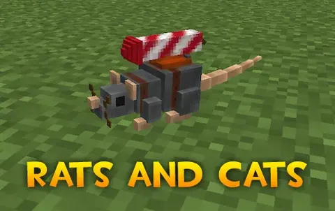 Rats and Cats