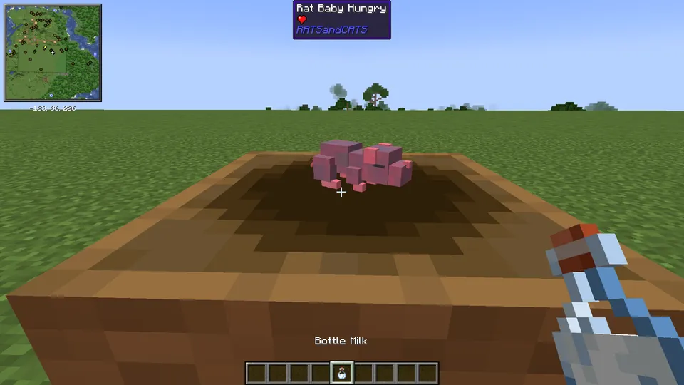 Rats and Cats — Minecraft mod, rasm 2