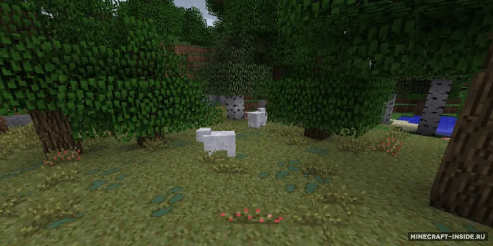 More Fun Quicksand — Minecraft mod, rasm 5