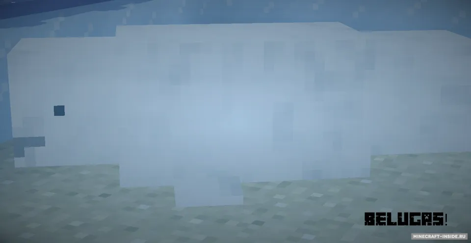 Whales Plus — Minecraft mod, rasm 4
