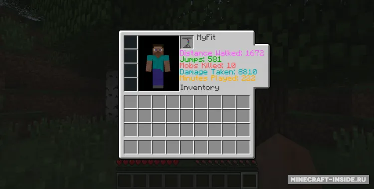 MyFit — Minecraft mod, rasm 2