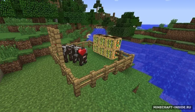 Manger — Minecraft mod, rasm 2