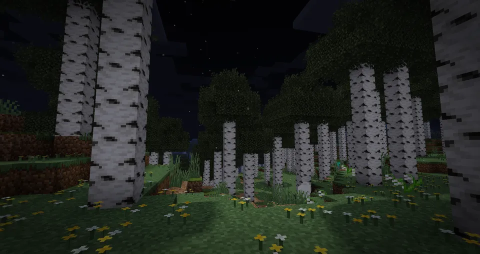 Improved/More Biomes — Minecraft mod, rasm 5