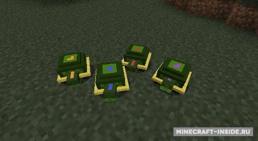 Pet Turtles — Minecraft mod, rasm 2