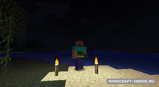 Pet Turtles — Minecraft mod, rasm 5