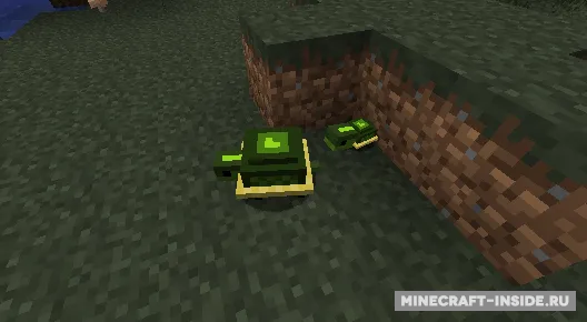 Pet Turtles — Minecraft mod, rasm 7