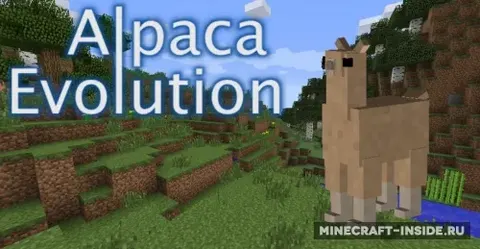 Alpaca Evolution