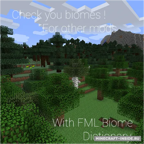 BiomeChecker — Minecraft mod, rasm 1