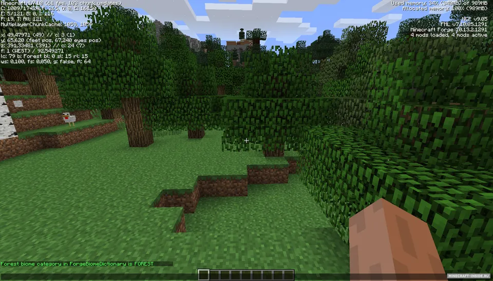 BiomeChecker — Minecraft mod, rasm 3