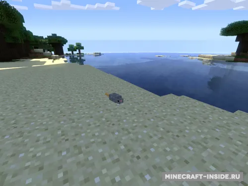 Rat — Minecraft mod, rasm 1