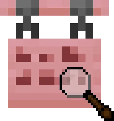 SignFinder