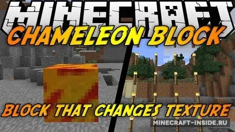 Chameleon Blocks