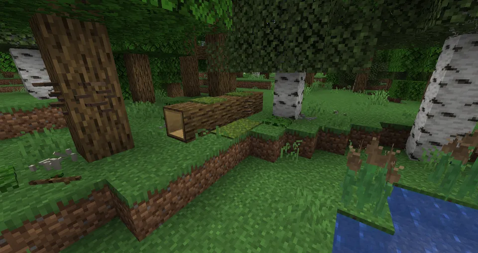 Project: Vibrant Journeys — Minecraft mod, rasm 2