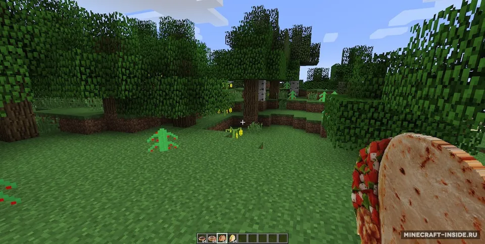 MinecraftDonalds — Minecraft mod, rasm 4