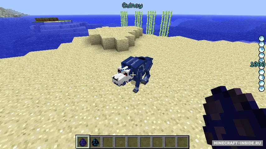 Bleach — Minecraft mod, rasm 4