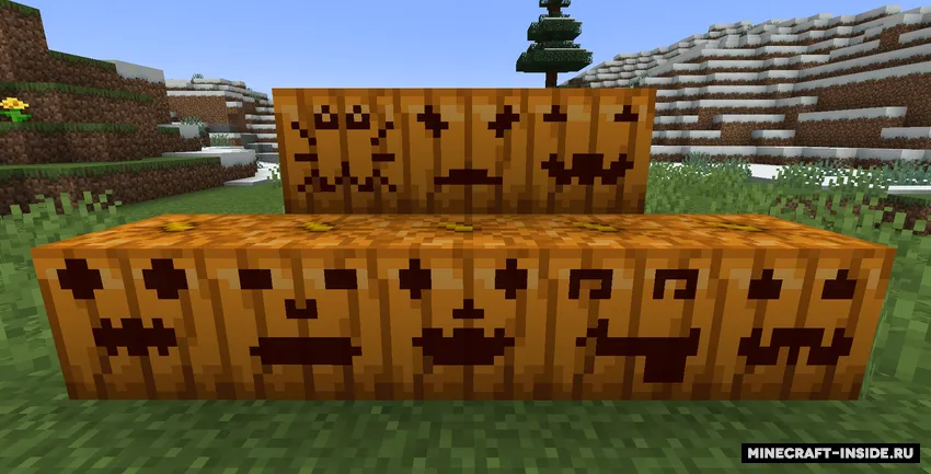 Dynamic Pumpkin Carving — Minecraft mod, rasm 2