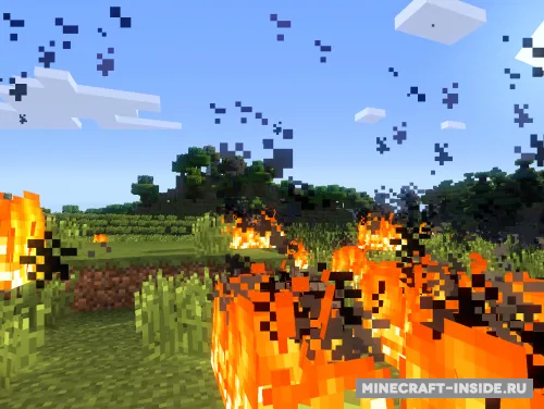 Fire Flower — Minecraft mod, rasm 1