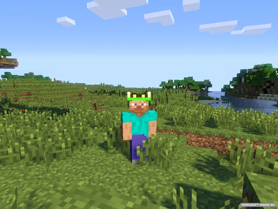 Wear Your Enemies — Minecraft mod, rasm 2