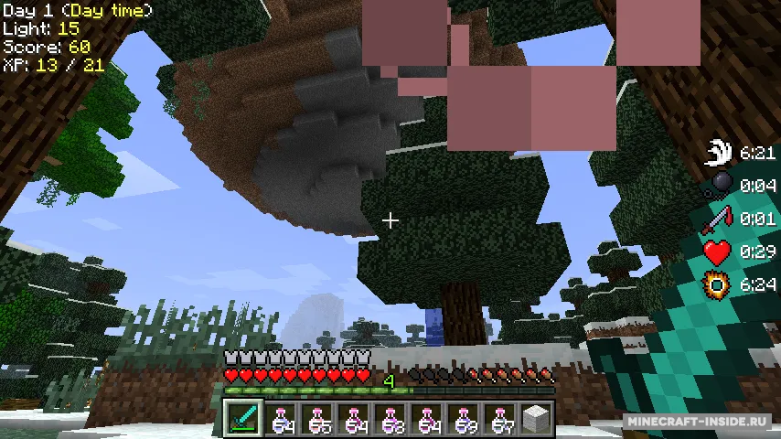 StatusEffectHUD — Minecraft mod, rasm 4