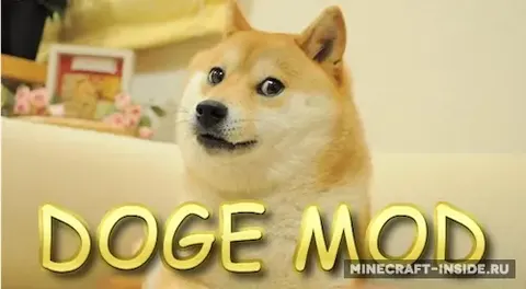 Doge