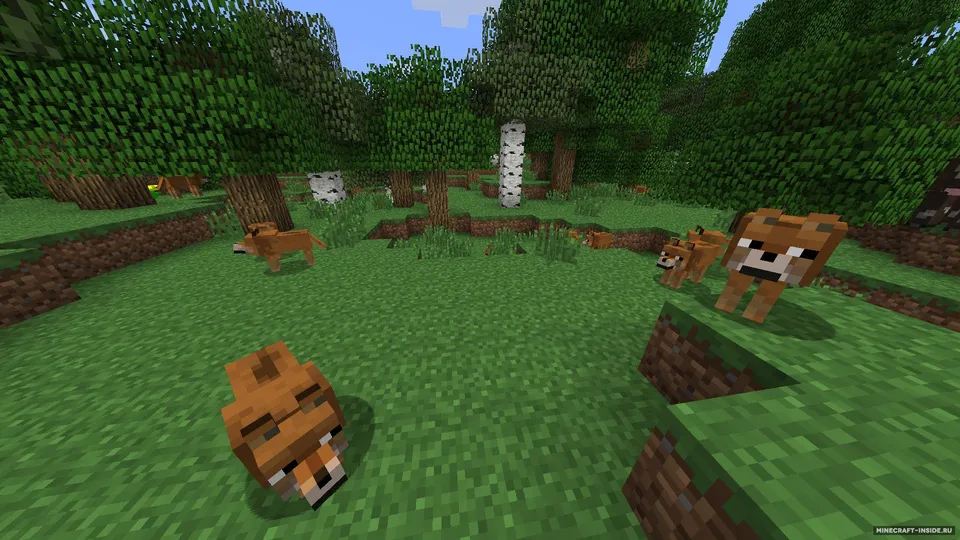 Doge — Minecraft mod, rasm 2