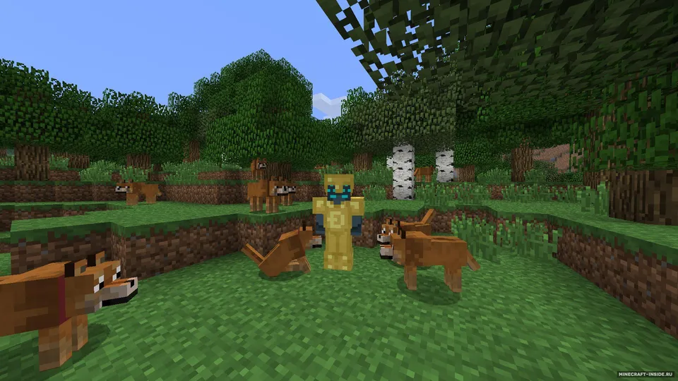 Doge — Minecraft mod, rasm 3