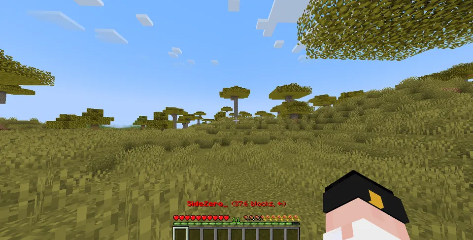 Player Finder — Minecraft mod, rasm 2