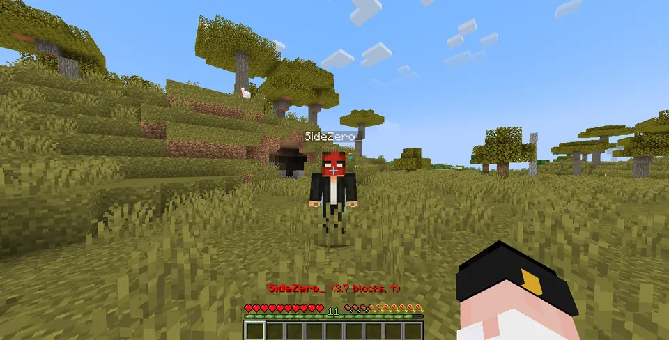 Player Finder — Minecraft mod, rasm 3