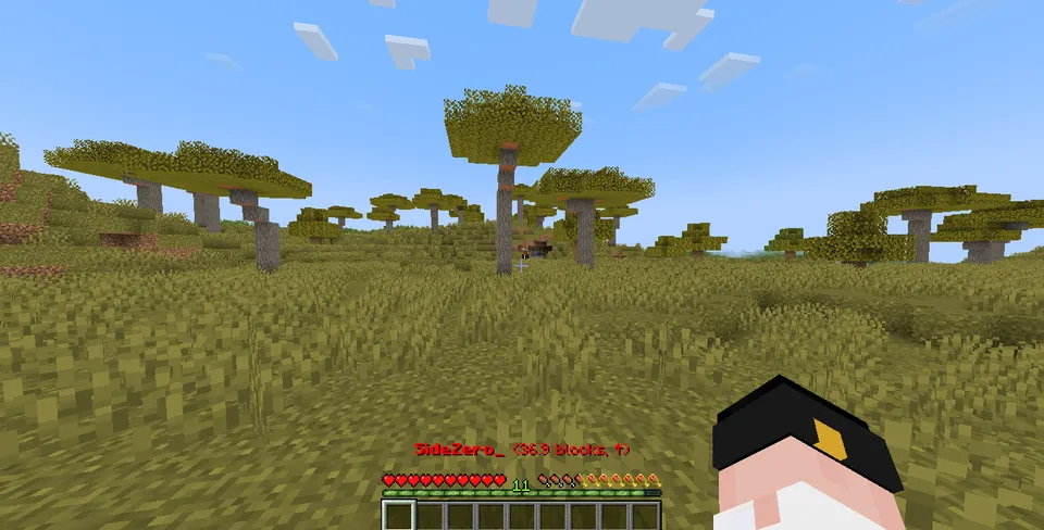 Player Finder — Minecraft mod, rasm 4