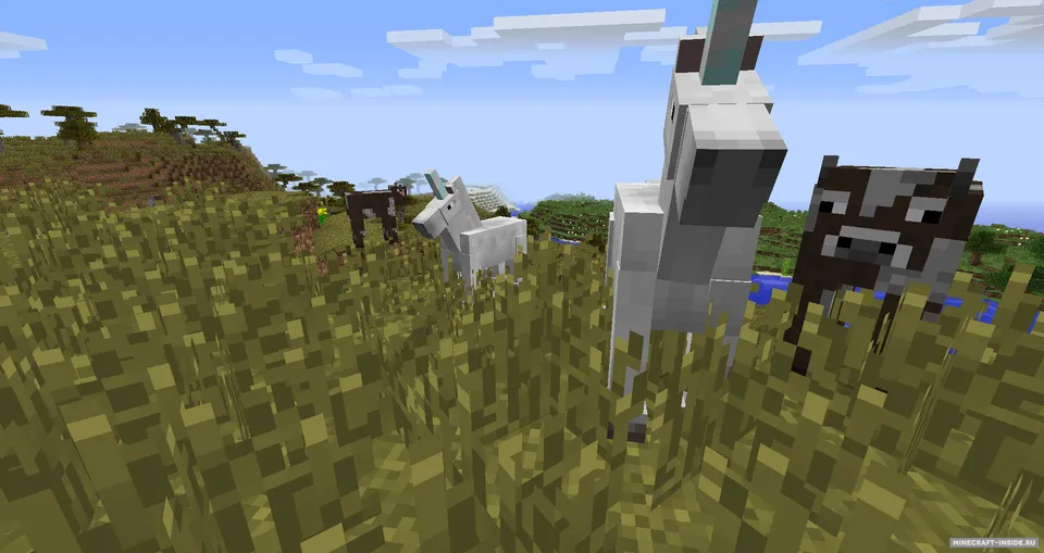 Unicorn — Minecraft mod, rasm 2