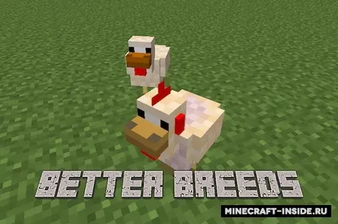 Better Breeds