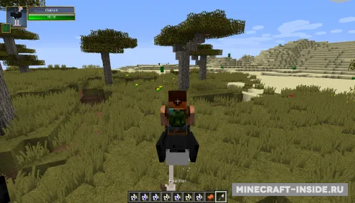 Birds — Minecraft mod, rasm 1