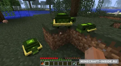 MC+ Turtle