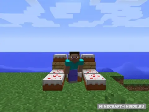 MC+ Starvation