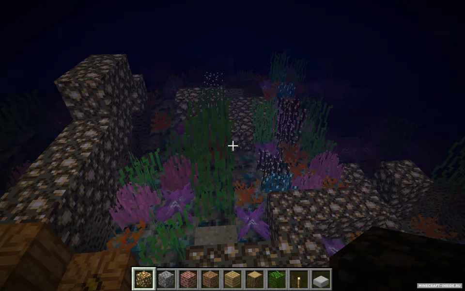 Coral Reef — Minecraft mod, rasm 2