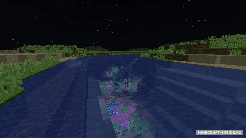 Coral Reef — Minecraft mod, rasm 5