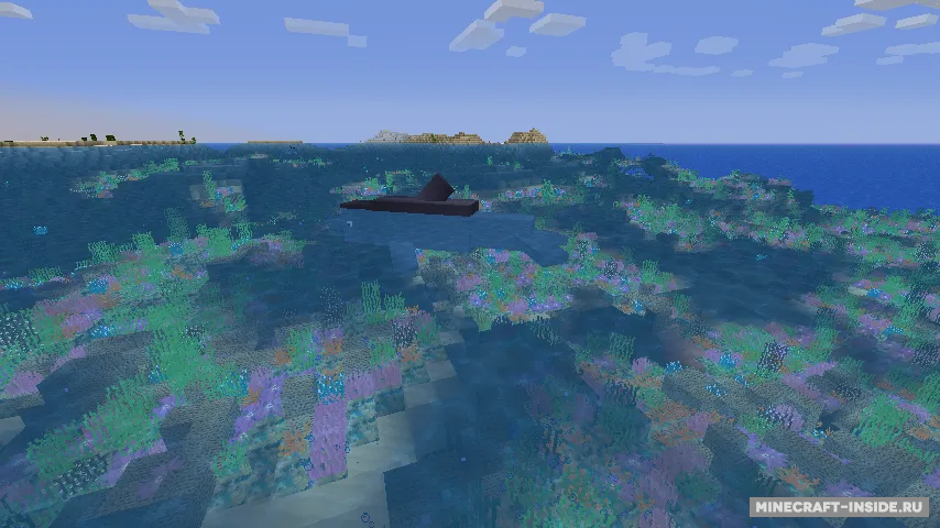 Coral Reef — Minecraft mod, rasm 7