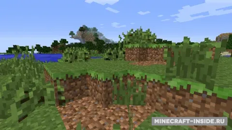 MC+ BerryBush