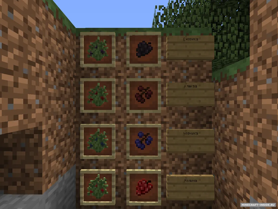MC+ BerryBush — Minecraft mod, rasm 2