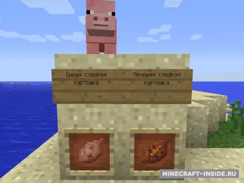 MC+ SweetPotato