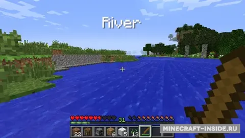 MC+ Region