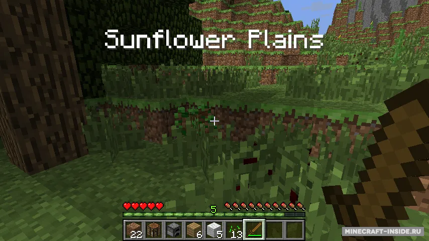 MC+ Region — Minecraft mod, rasm 3