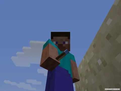 Coloured Torches