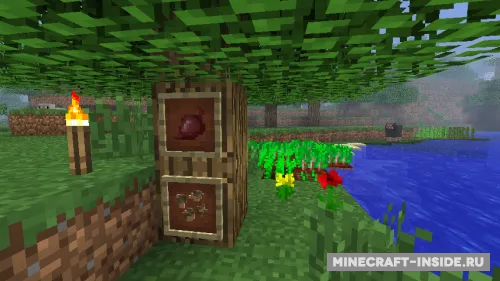 MC+ Beetroot — Minecraft mod, rasm 1
