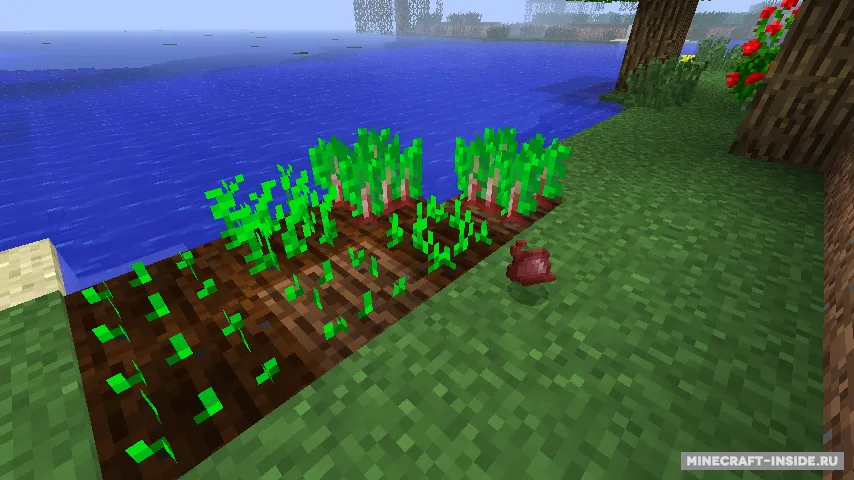 MC+ Beetroot — Minecraft mod, rasm 2