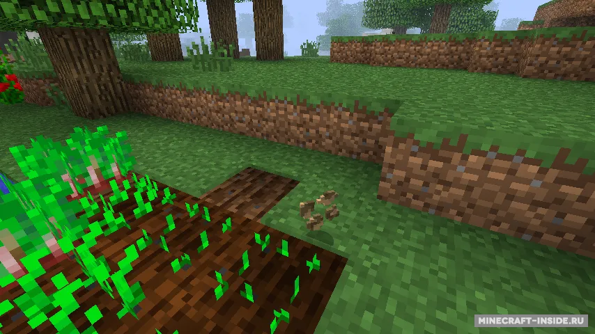 MC+ Beetroot — Minecraft mod, rasm 3